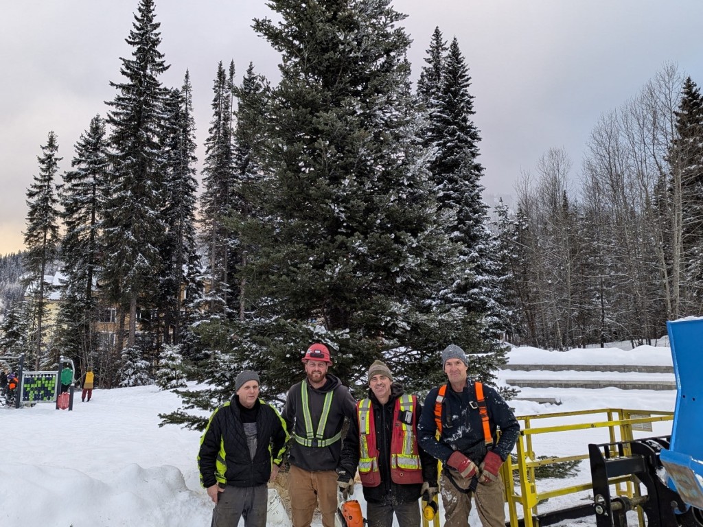 A 35 ft tall tree is mounted in the wintry plaza behind a team of public work employees who have installed it.