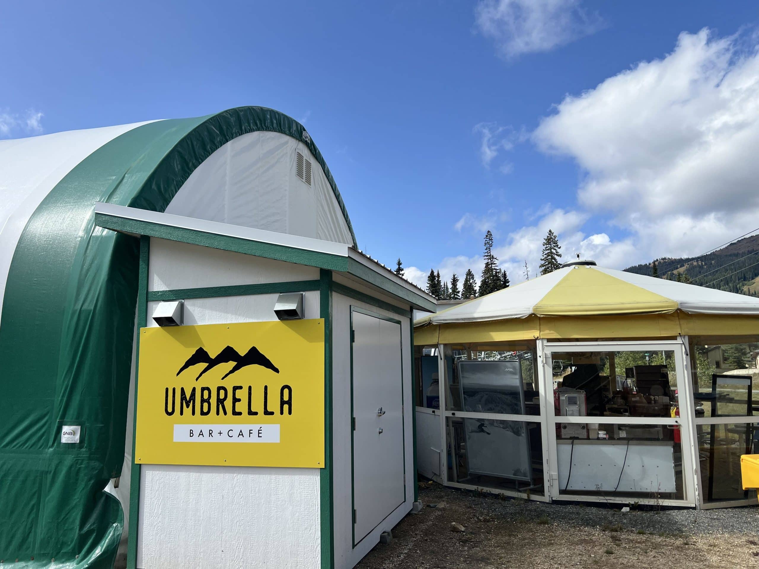 Family of bears enters Umbrella Café causing 'minimal damage"